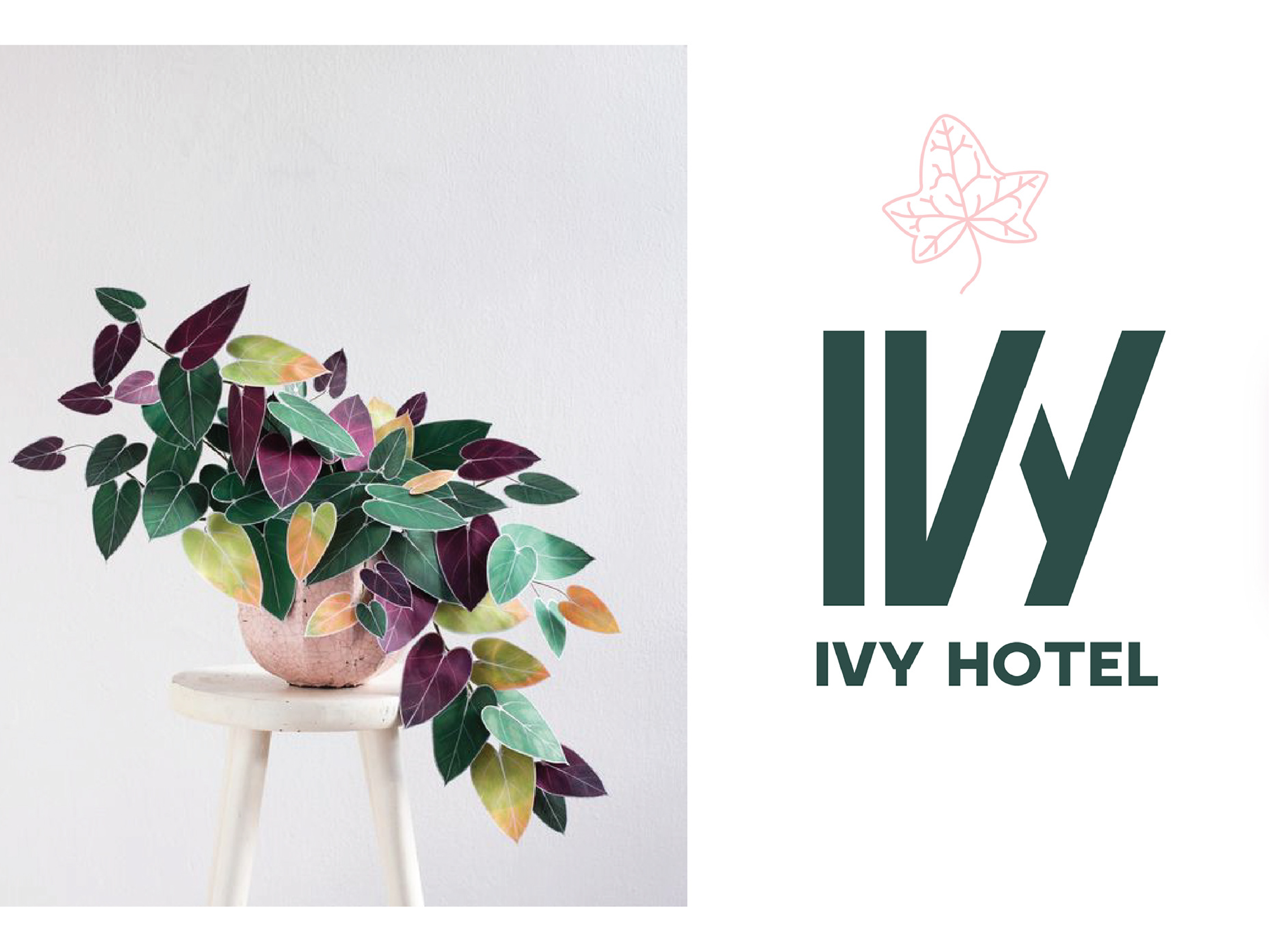 IVY HOTEL